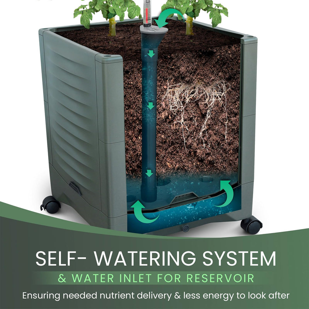 TeCreatio top view highlighting water inlet for easy refill without soil disturbance