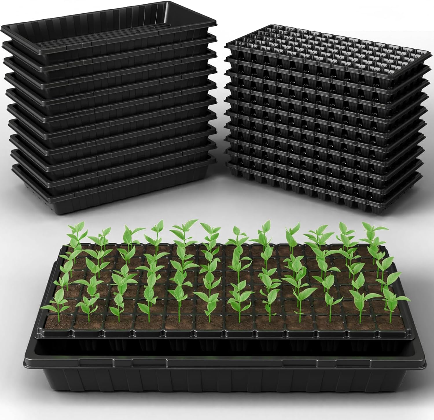 Tectsia 1020 front view of complete 20-pack tray set showing tidy organization and value
