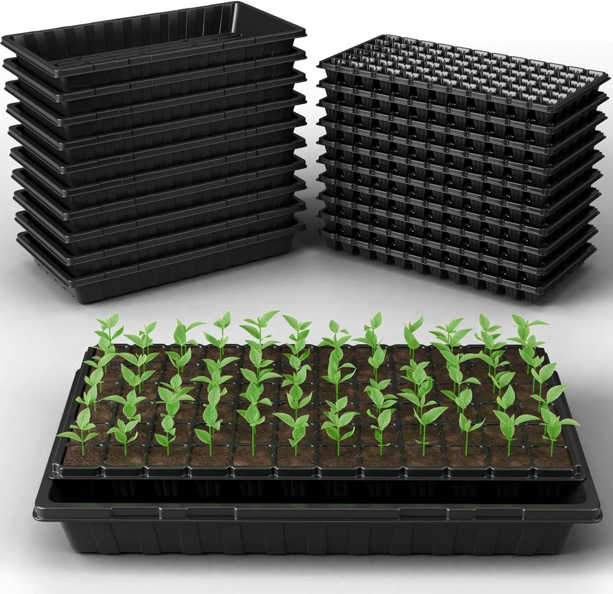 Tectsia 1020 front view of complete 20-pack tray set showing tidy organization and value