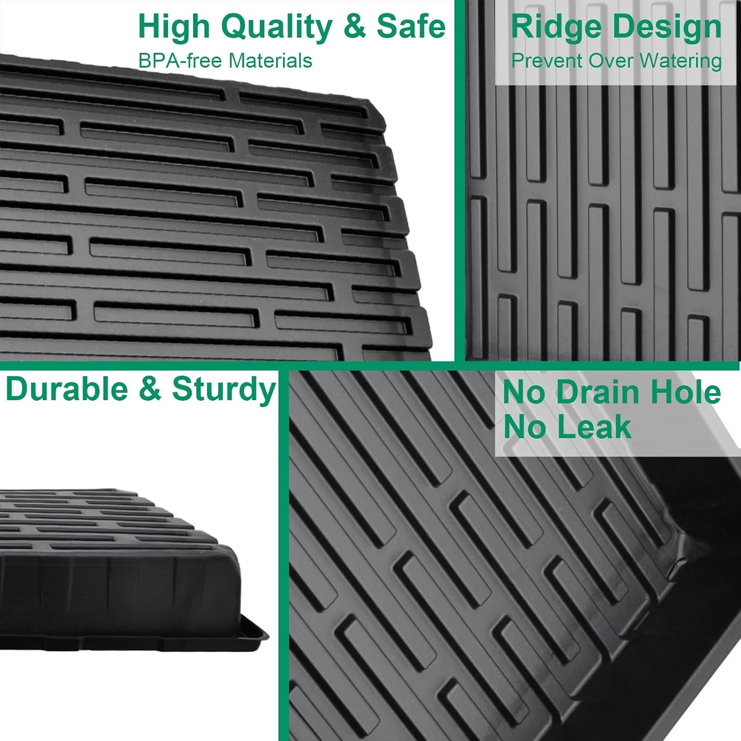 Tectsia base tray holding water to illustrate bottom-watering reservoir benefit