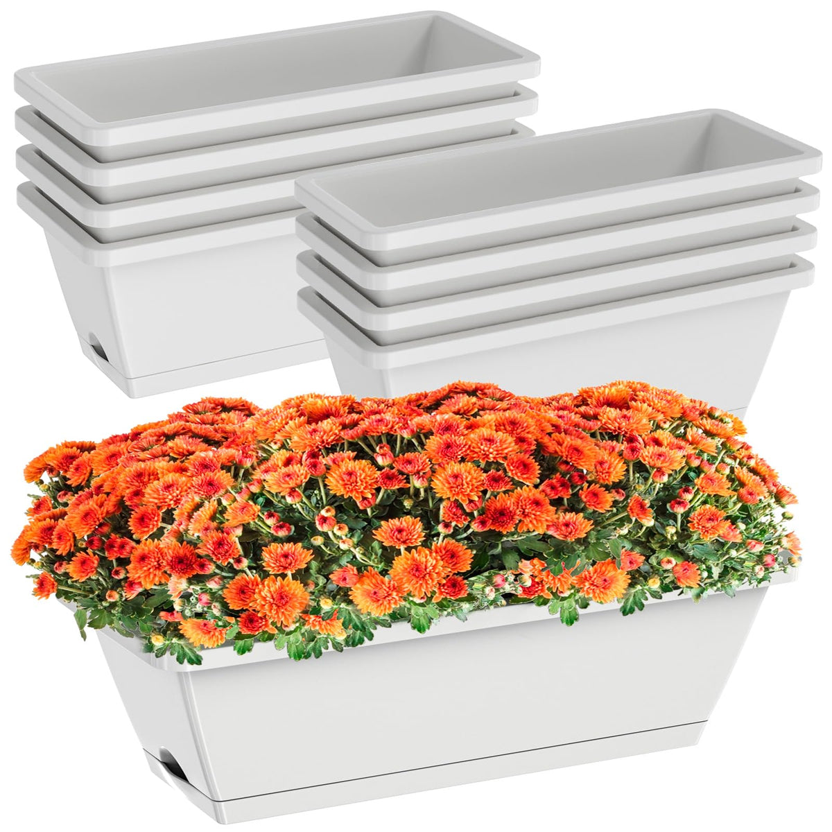 Tectsia front view of eight light grey window boxes showing organized set benefit