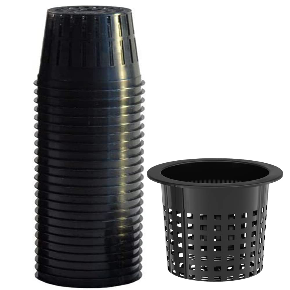 Tectsia front view of 12 net cups showing full pack and shape, durable convenience
