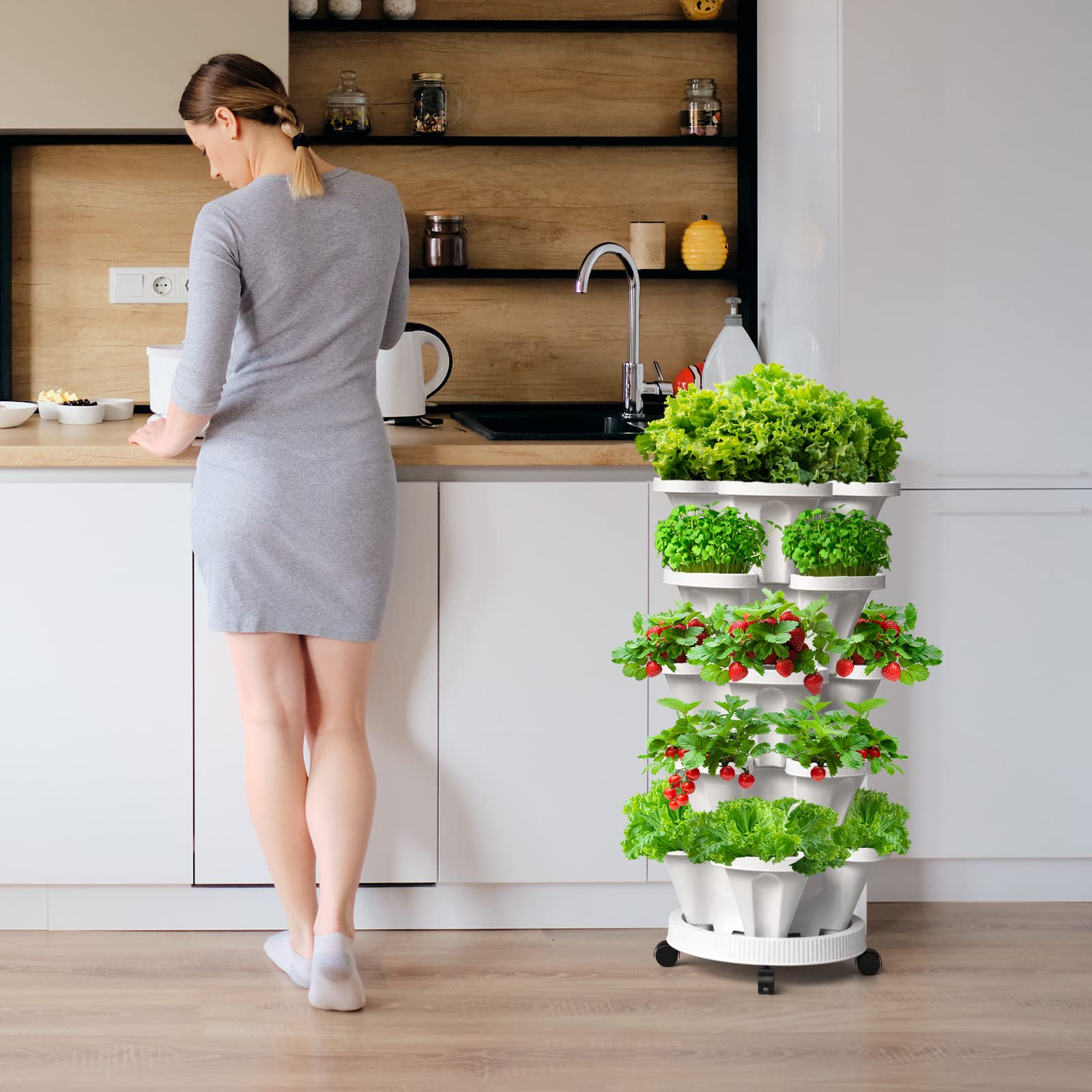 Tectsia placed on kitchen counter demonstrating indoor herb-growing convenience