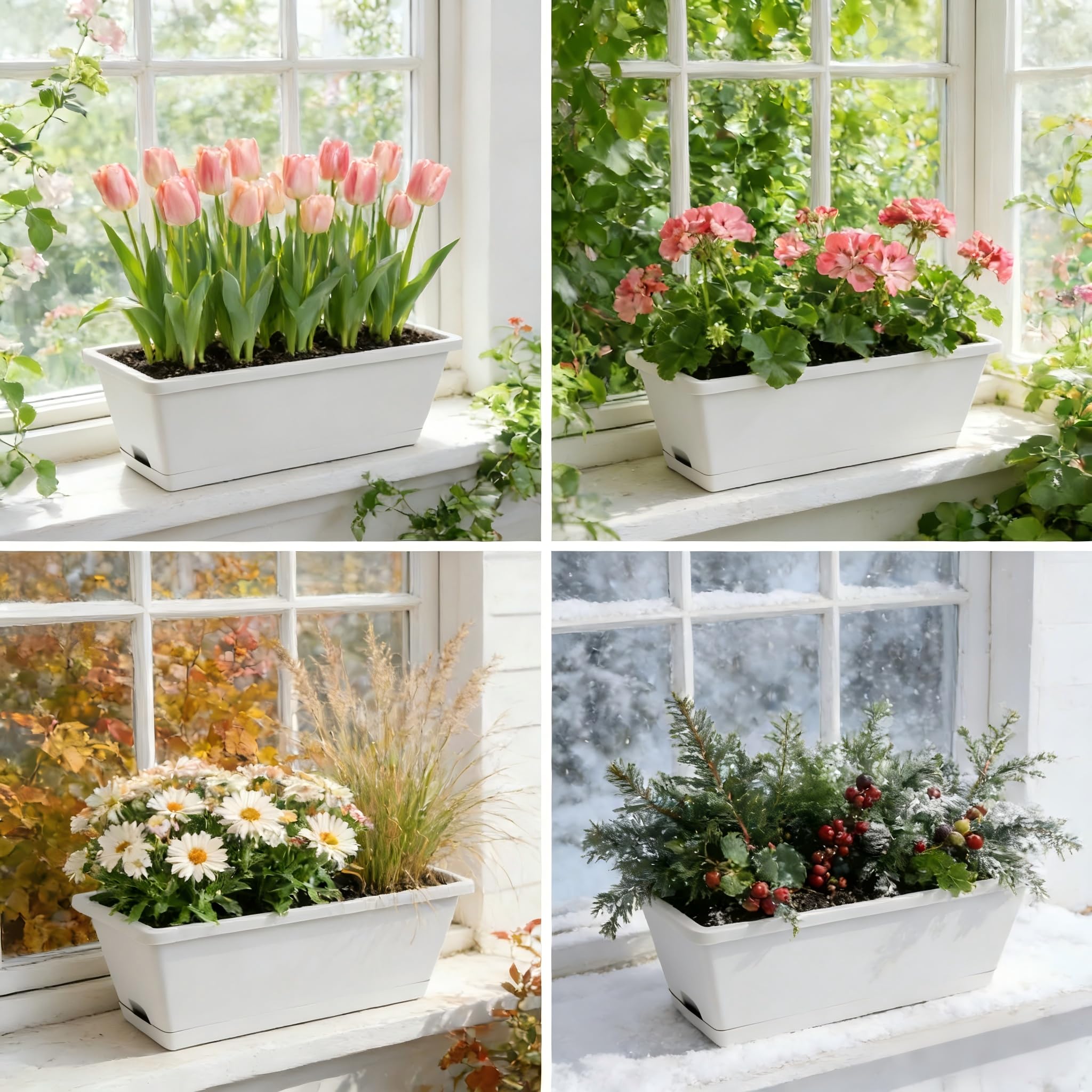 Tectsia installed on a windowsill demonstrating space-saving planting benefit