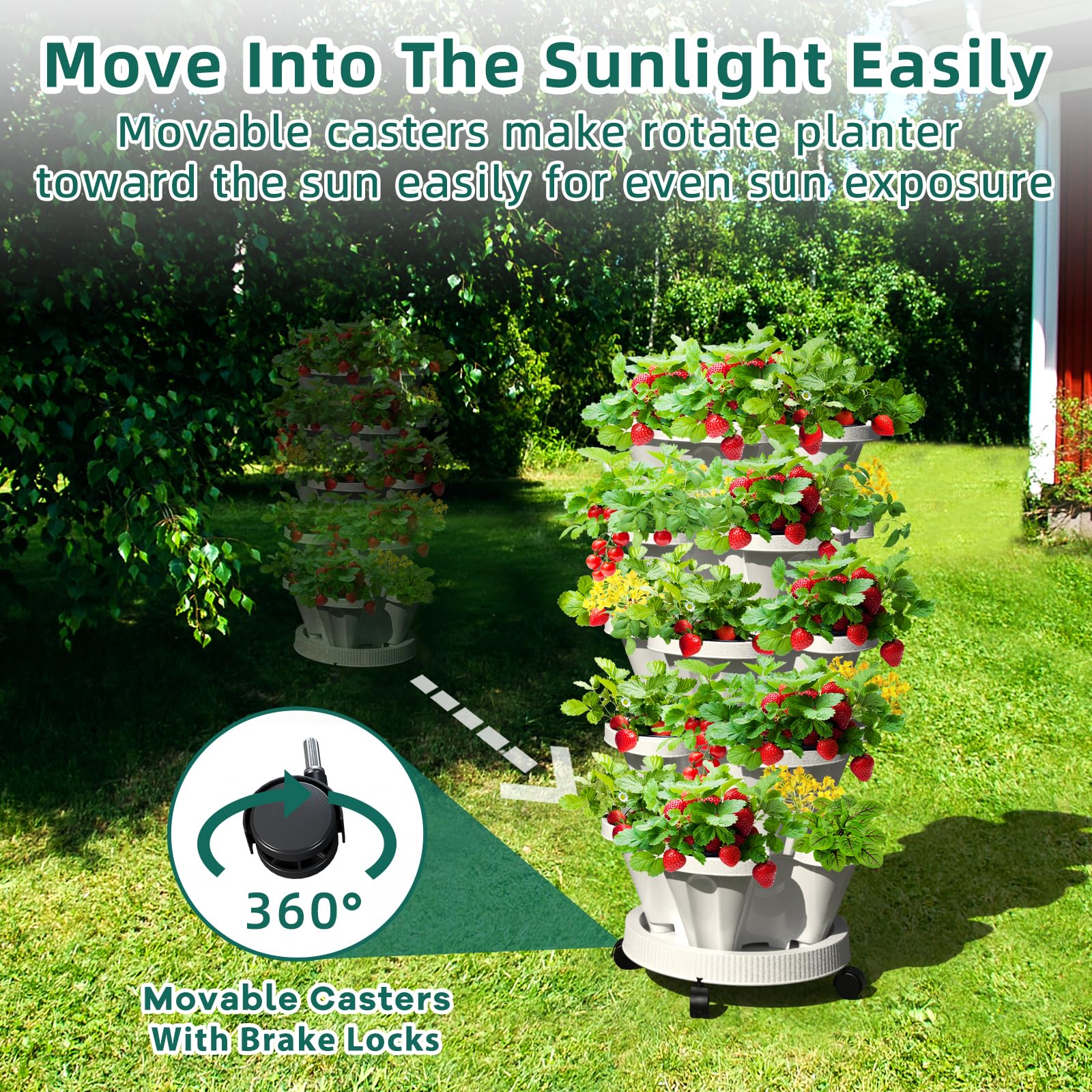 Tectsia on rolling saucer with casters for easy relocation and sun access