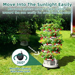 Tectsia rolling saucer with casters for easy moving advantage