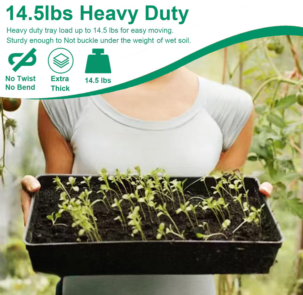 Tectsia stacked trays in dry storage showing compact storage and season-ready readiness