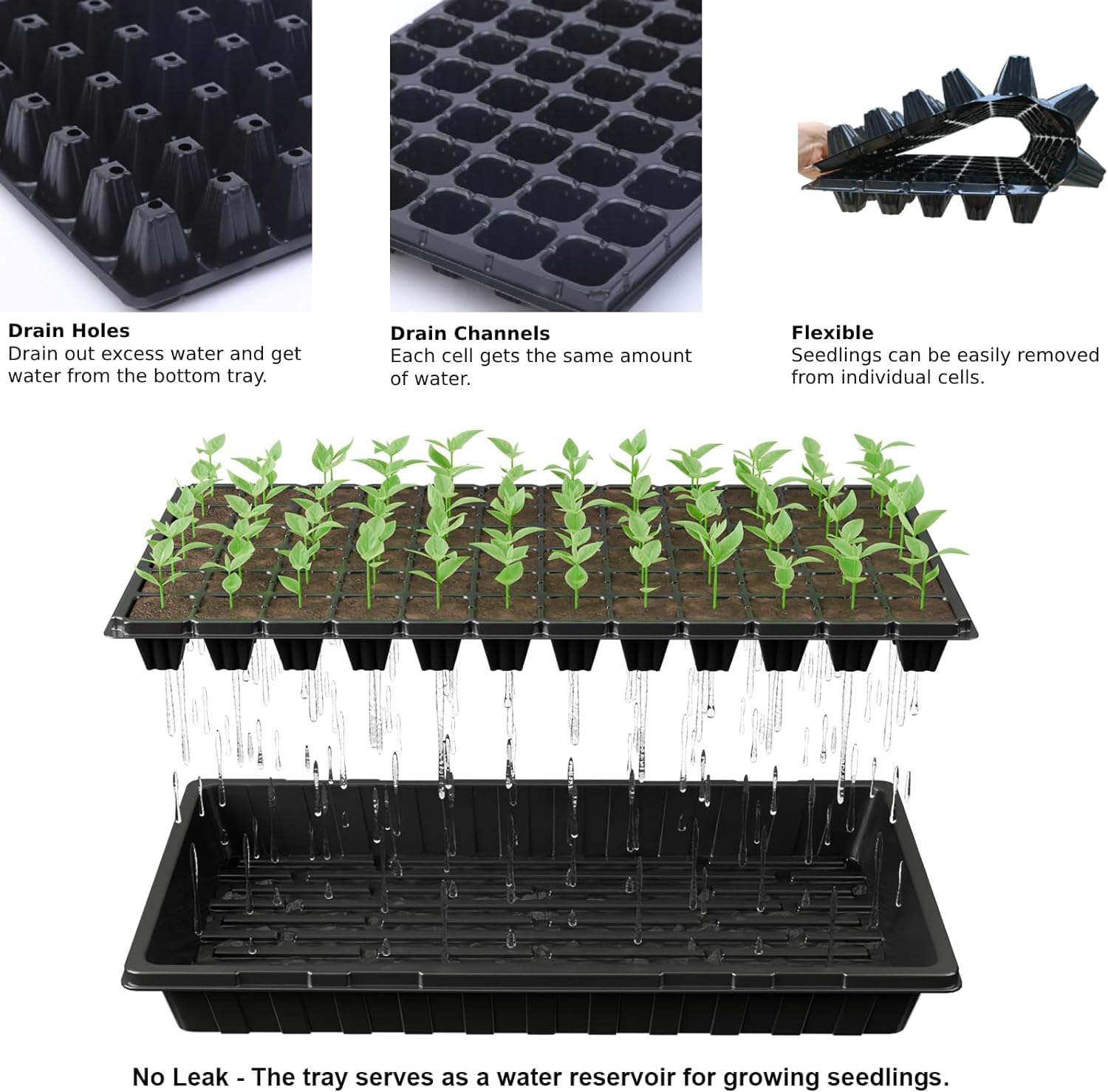 Tectsia trays arranged on greenhouse shelving demonstrating space-saving and neat rows