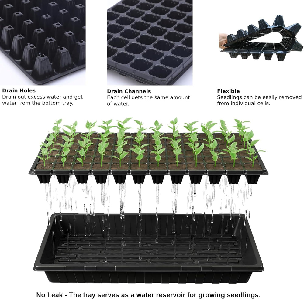 Tectsia trays arranged on greenhouse shelving demonstrating space-saving and neat rows