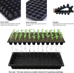 Tectsia trays arranged on greenhouse shelving demonstrating space-saving and neat rows
