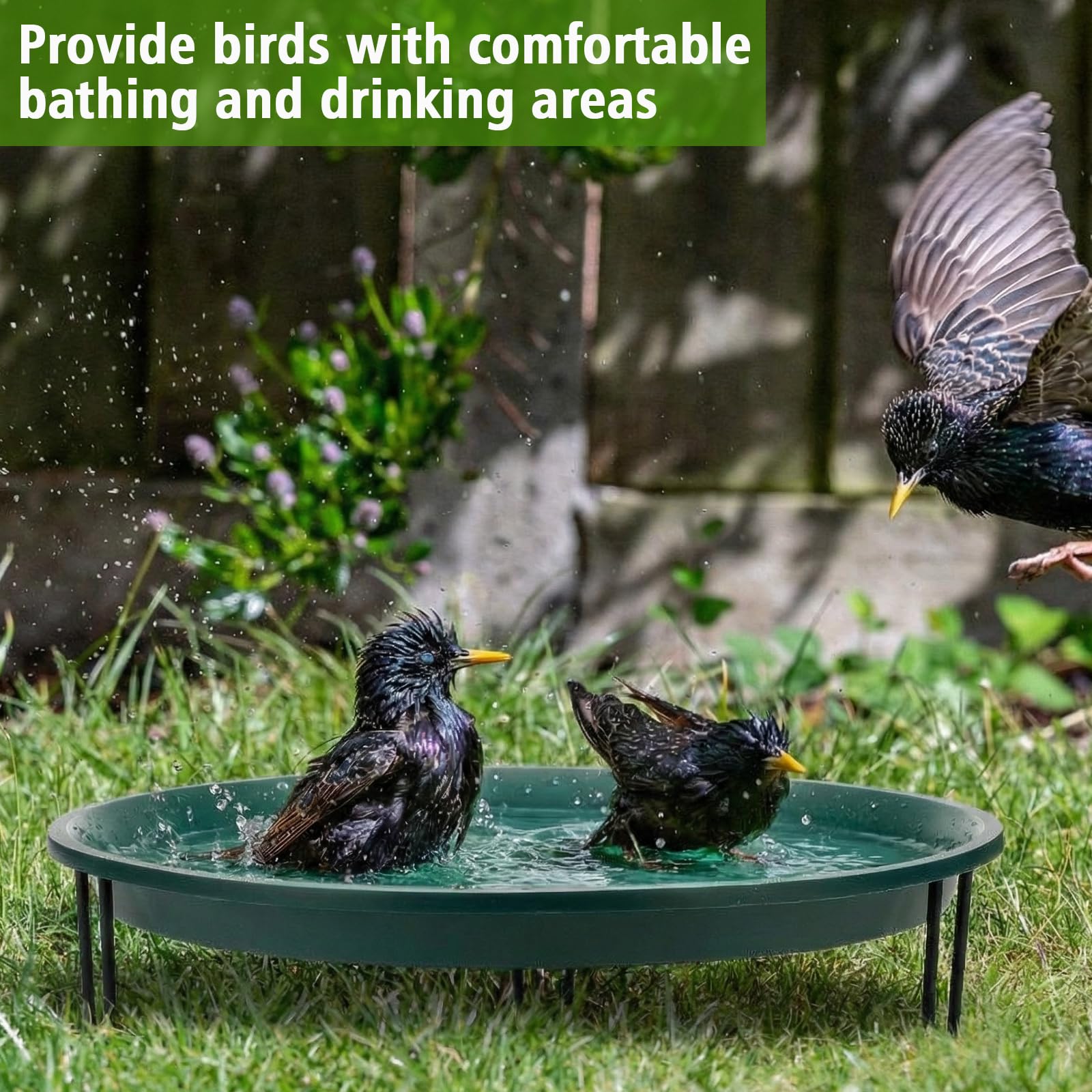 Teecyhooo bird bath with birds using it illustrating natural attraction benefit