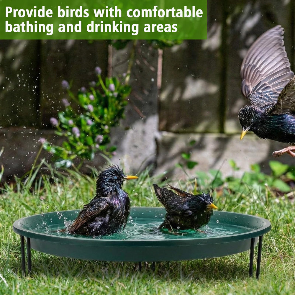 Teecyhooo bird bath with birds using it illustrating natural attraction benefit