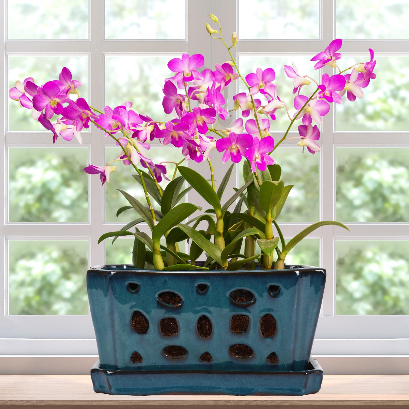 Teenyyou blue ceramic orchid pot front view, decorative and durable