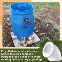 Teenyyou port with chick feeding demonstrating safe, spill-reducing access