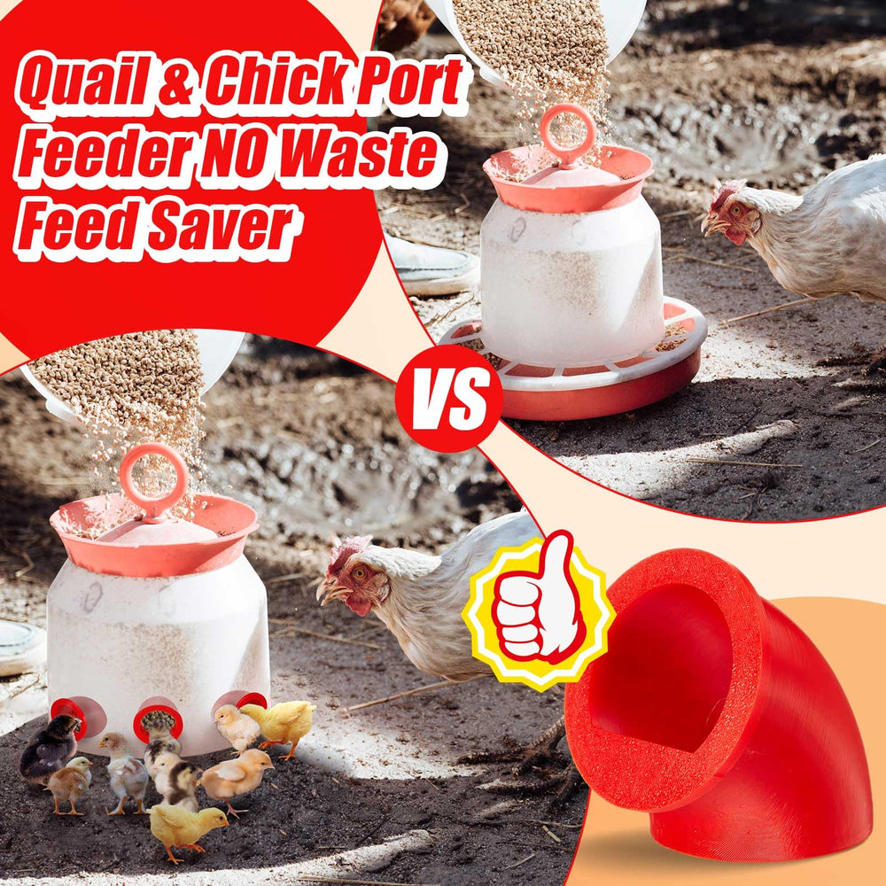 Teenyyou feeder port in use with quail reducing mess at feeding time