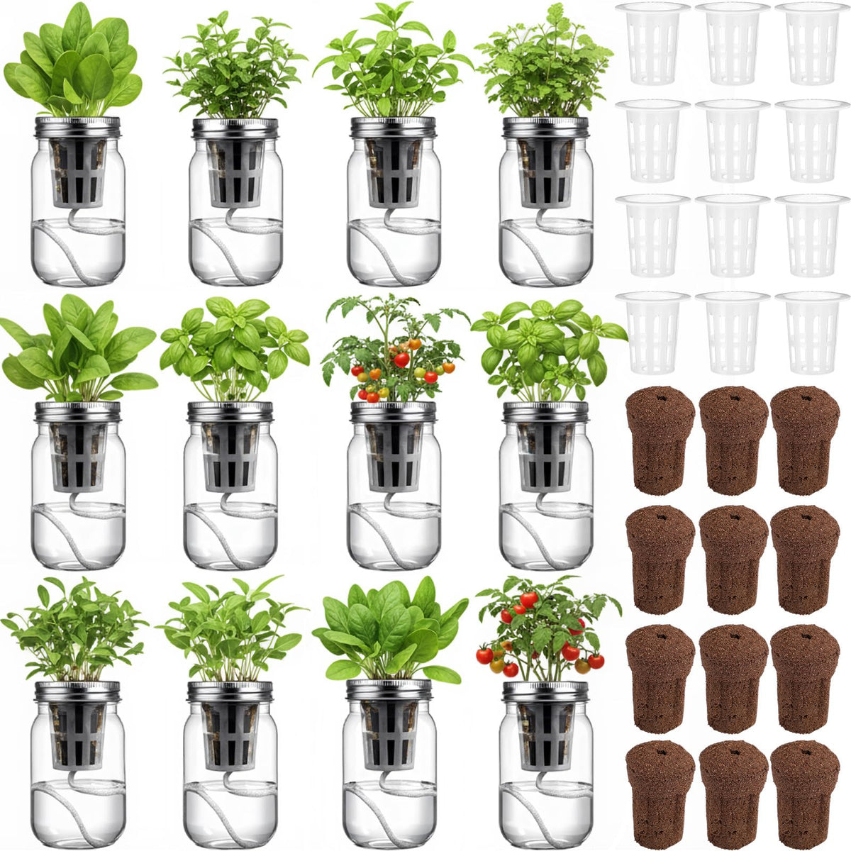 Teenyyou front view of 12 mason jar hydroponic kit showing neat starter set benefit