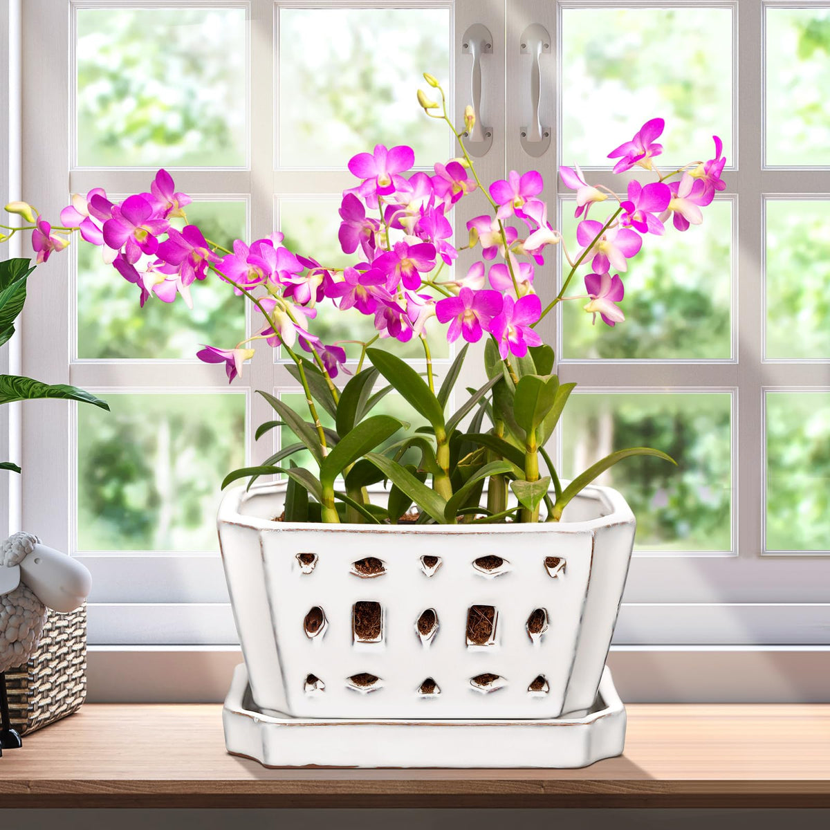 Teenyyou front view of white 7-inch ceramic orchid pot showing clean lines and elegant look