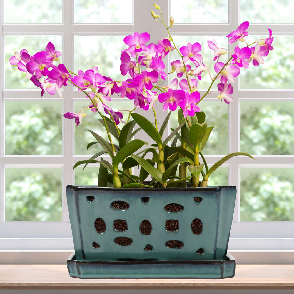 Teenyyou front view green orchid pot showing elegant shape and stable base benefit