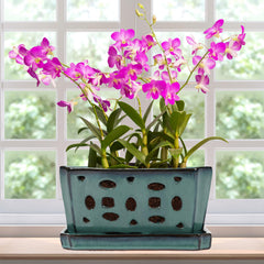 Teenyyou front view green orchid pot showing elegant shape and stable base benefit