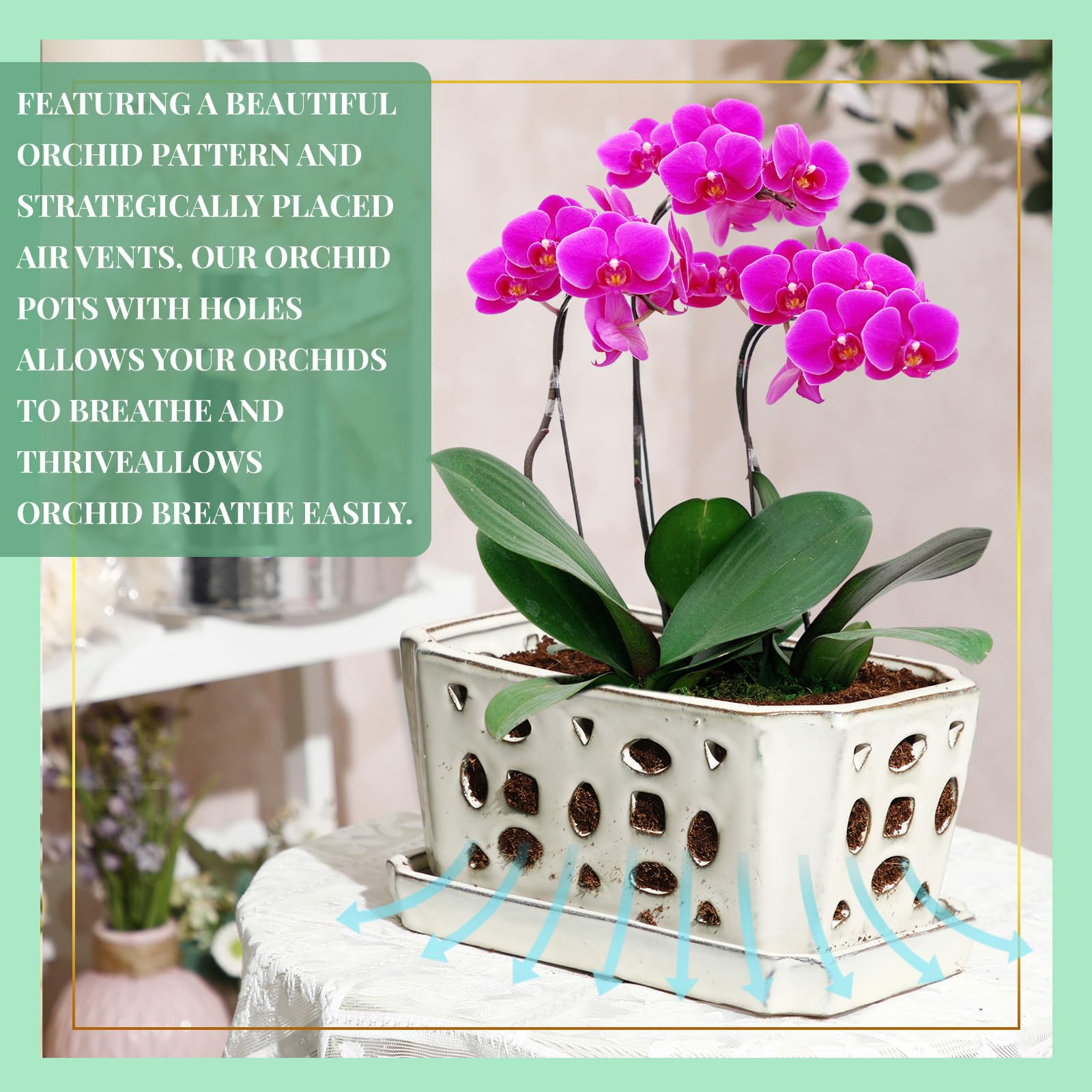 Teenyyou gardening gloves and tools in use protecting hands and simplifying transplanting