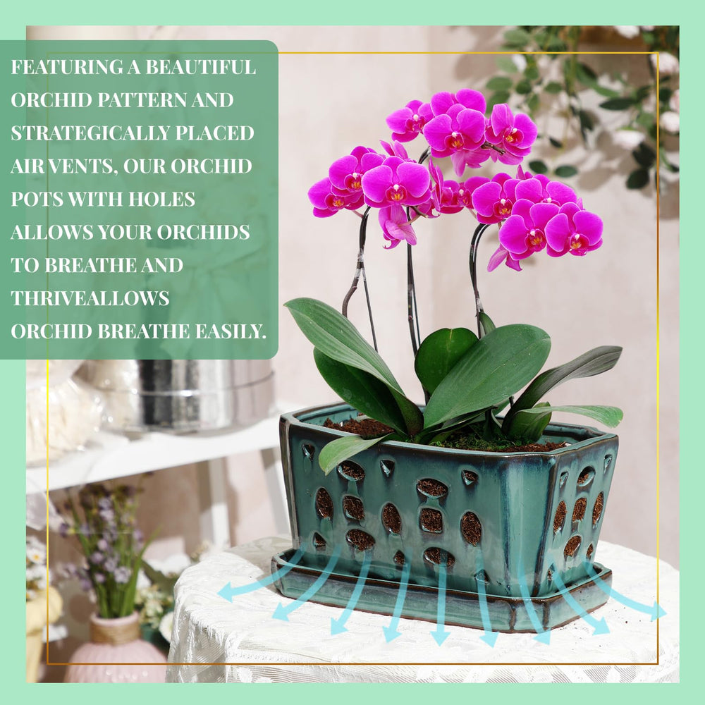 Teenyyou set of three shovels and gloves arranged for convenient repotting benefit
