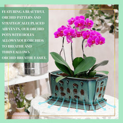 Teenyyou set of three shovels and gloves arranged for convenient repotting benefit