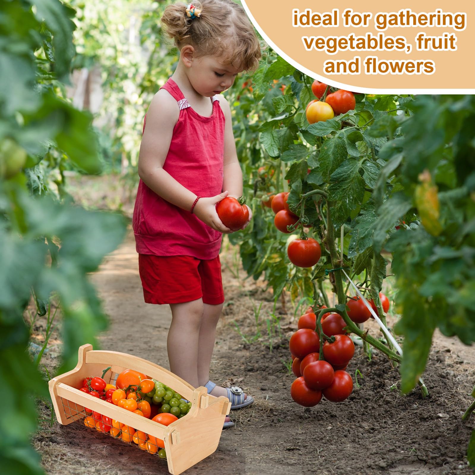 Teenyyou basket in use harvesting vegetables directly from garden beds