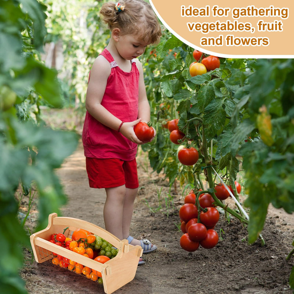 Teenyyou basket in use harvesting vegetables directly from garden beds
