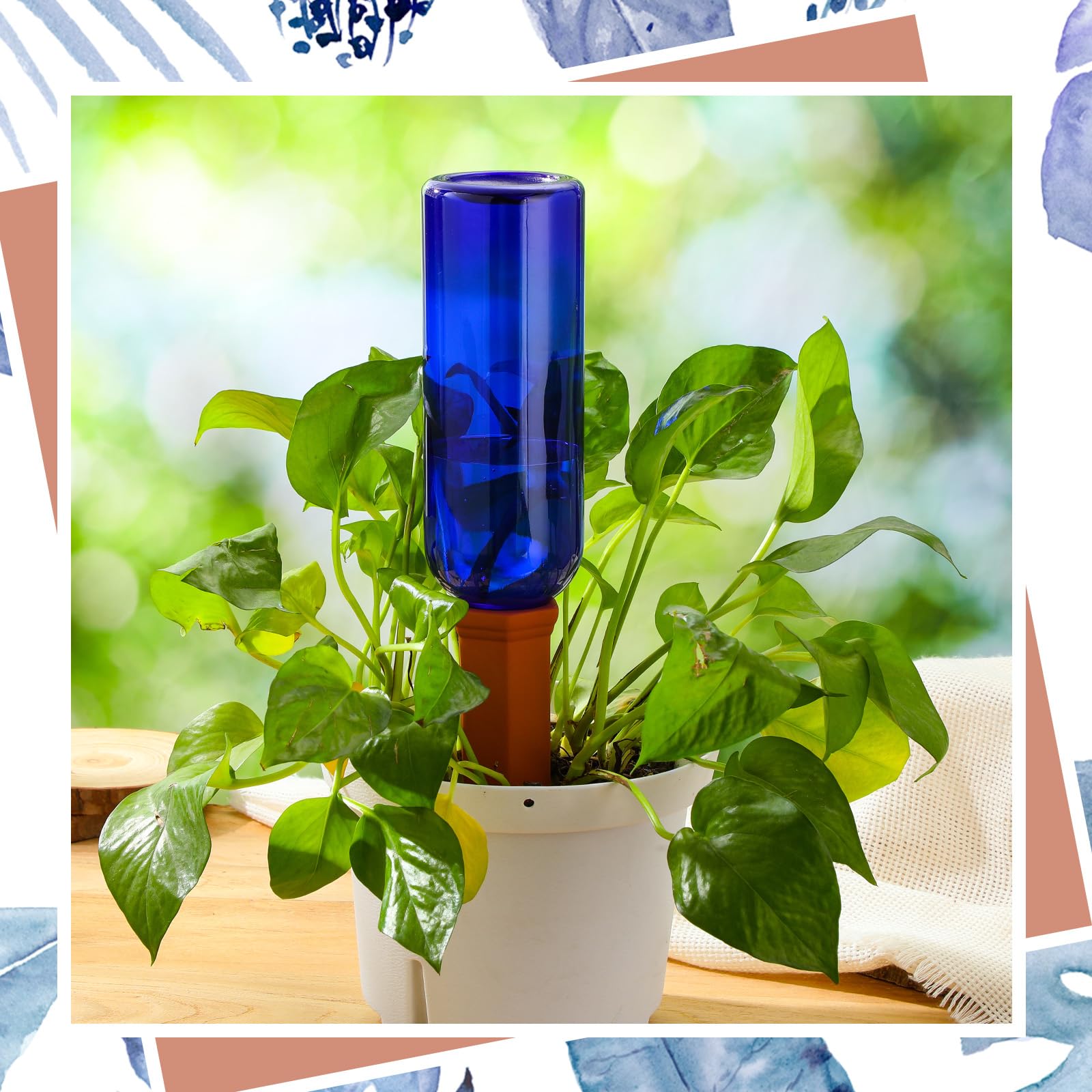 Teenyyou lifestyle on window sill herb garden showing care-free plant upkeep