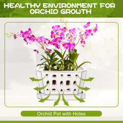 Teenyyou pot and matching saucer capturing runoff to protect surfaces and simplify care