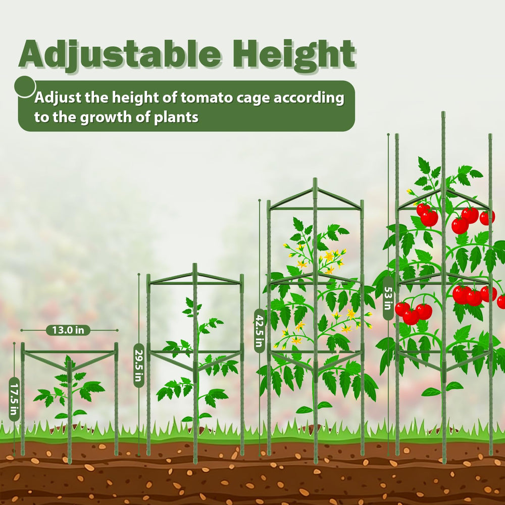 Tegarbed assembled cage around tomato plant demonstrating sturdy garden support