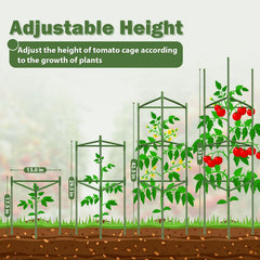 Tegarbed assembled cage around tomato plant demonstrating sturdy garden support