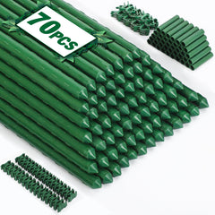 Tegarbed front packaging showing full 70-pack kit and value