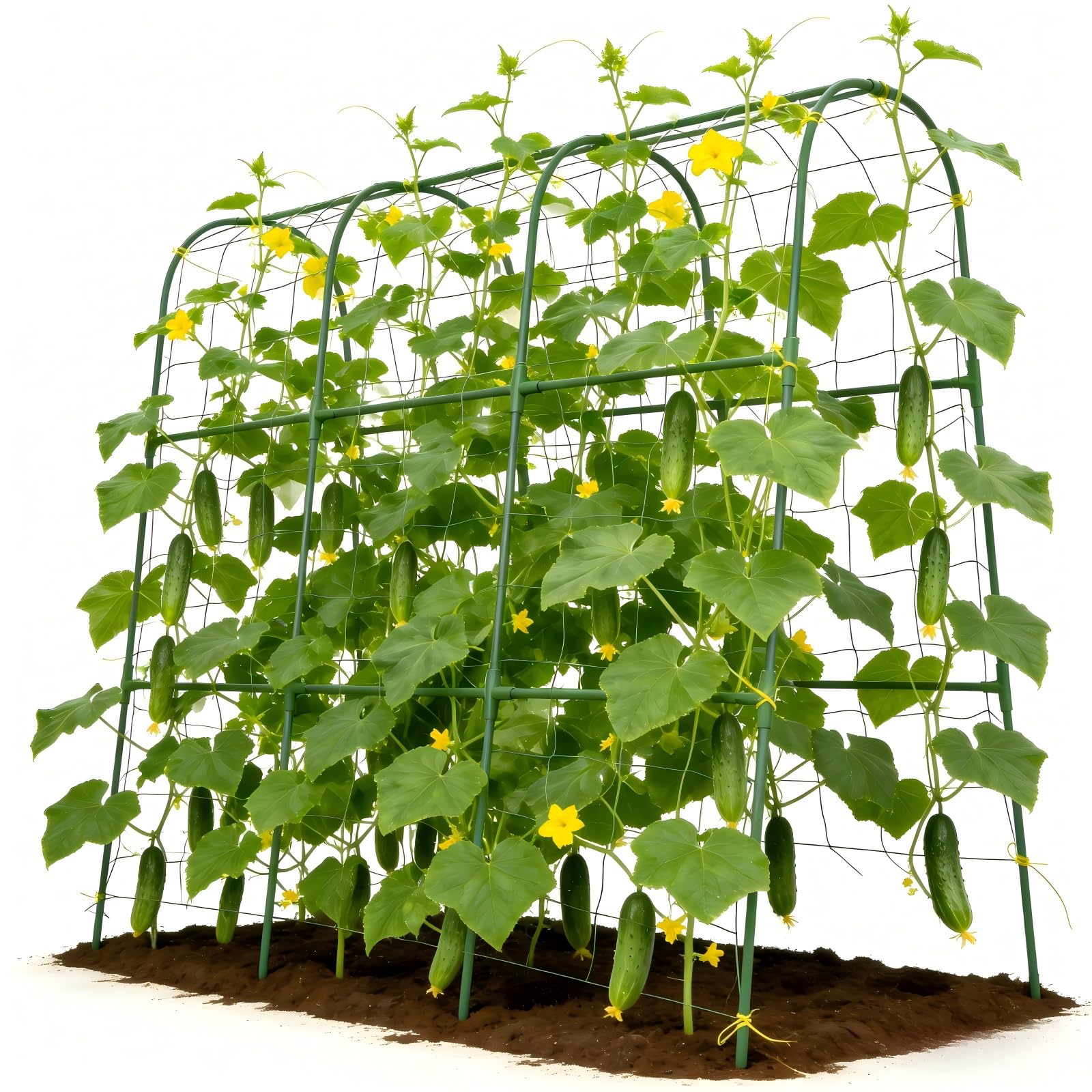 Tegarbed trellis front view showing U-shape and sturdy arch support benefits
