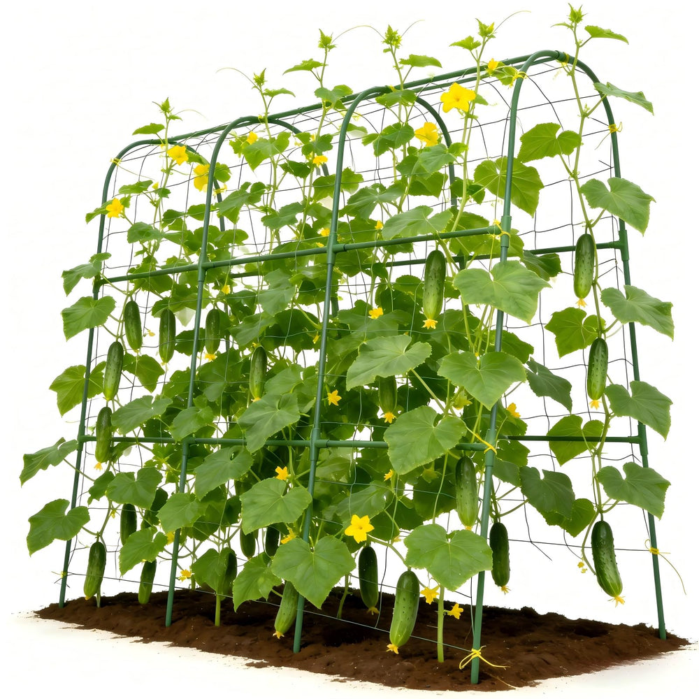 Tegarbed trellis front view showing U-shape and sturdy arch support benefits
