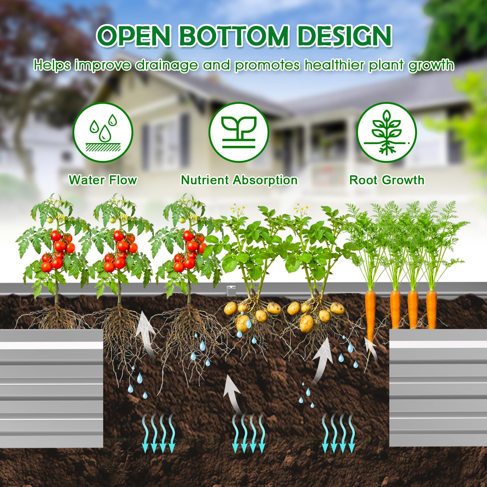 Tegarbed planted bed with vegetables showing productive use of 8 by 4 space