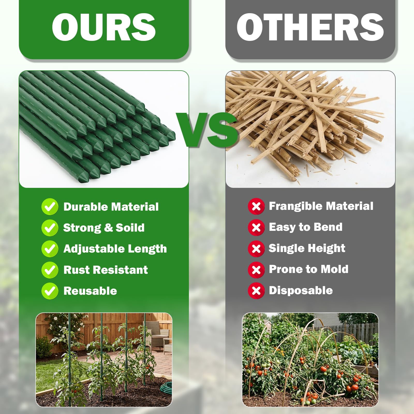Tegarbed stakes supporting tomato rows improving plant stability