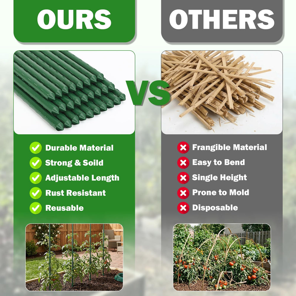 Tegarbed stakes supporting tomato rows improving plant stability