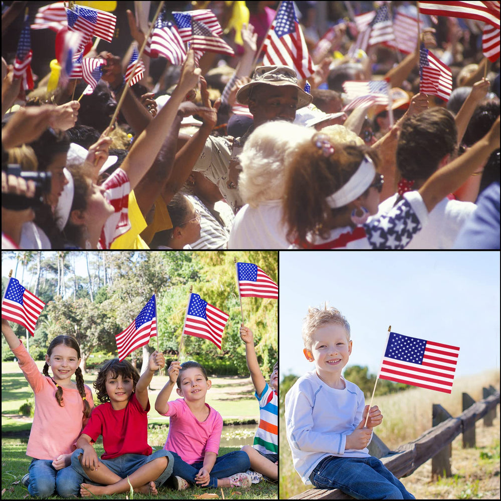 Tegeme flags waved by crowd at parade, visible patriotic impact