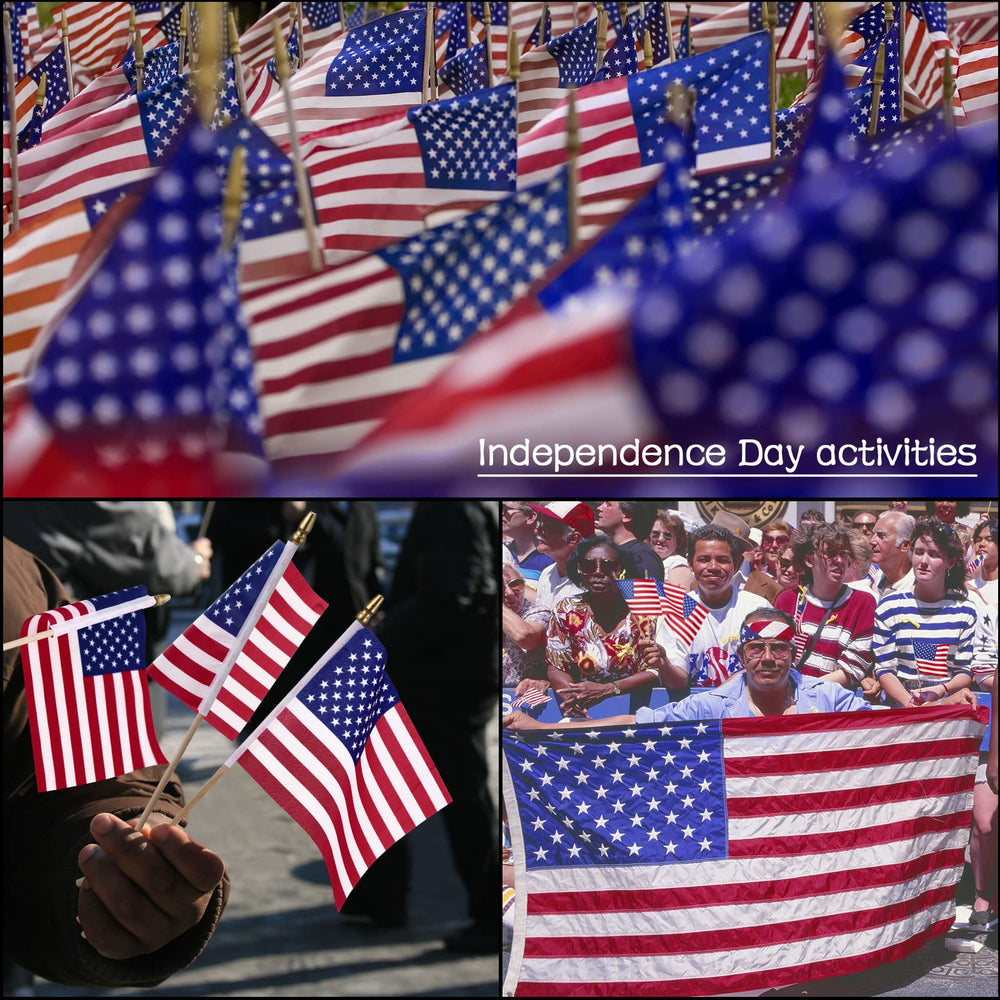 Tegeme flags in use at a parade demonstrating crowd distribution and visibility benefits
