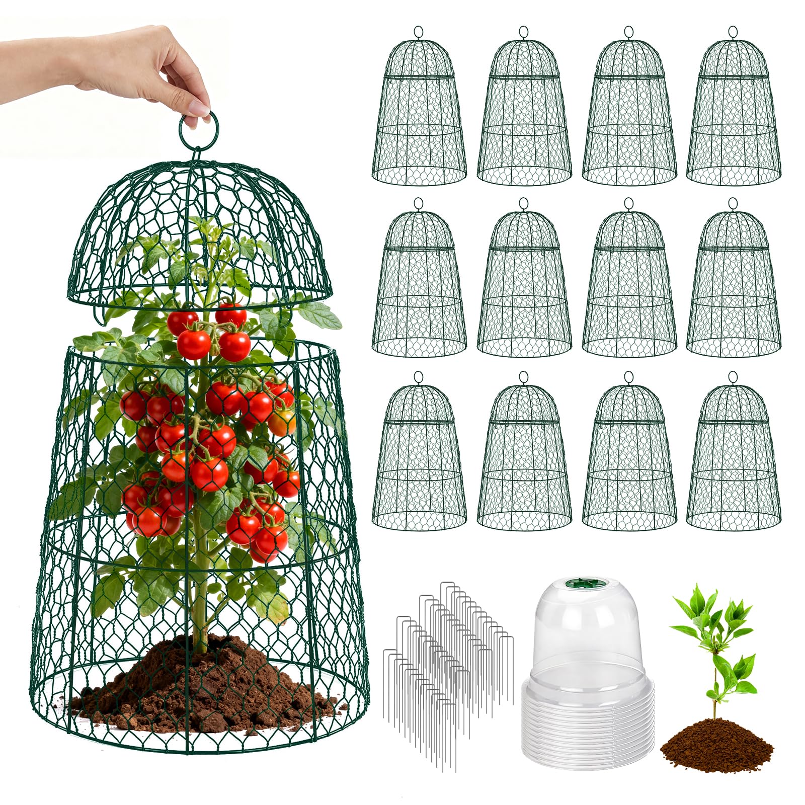 TEMFAR front view of 12-pack cloches showing full set and packaging benefit
