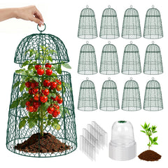 TEMFAR front view of 12-pack cloches showing full set and packaging benefit