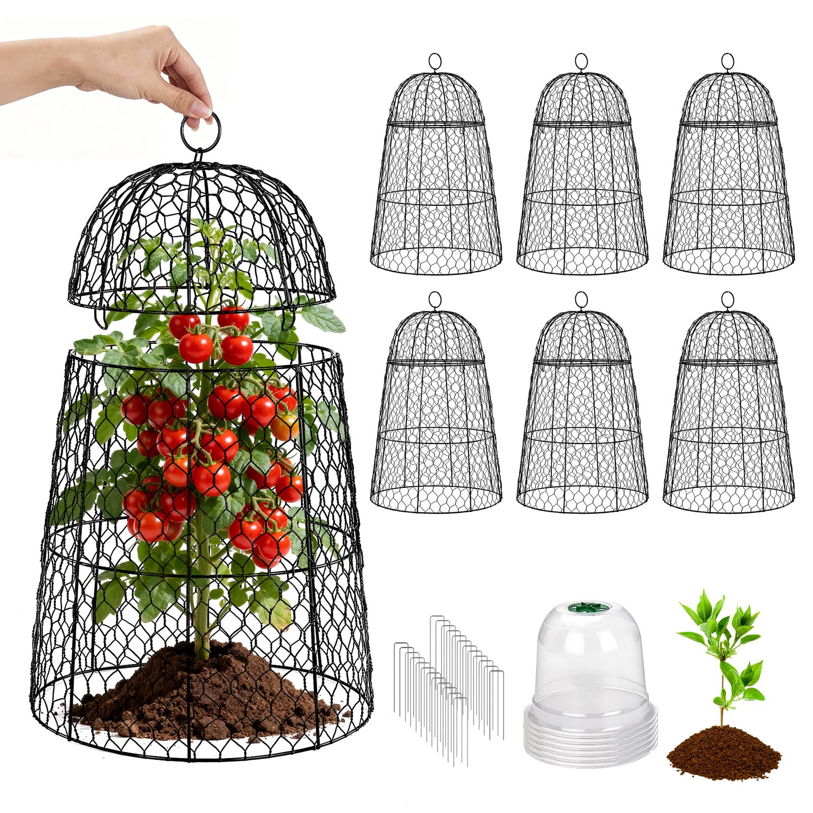 TEMFAR front view of six metal cloches protecting plants, durable protection