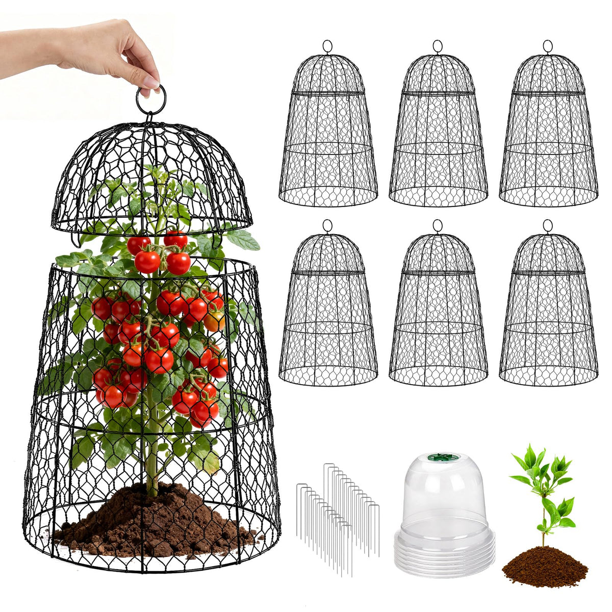 TEMFAR front view of six metal cloches protecting plants, durable protection