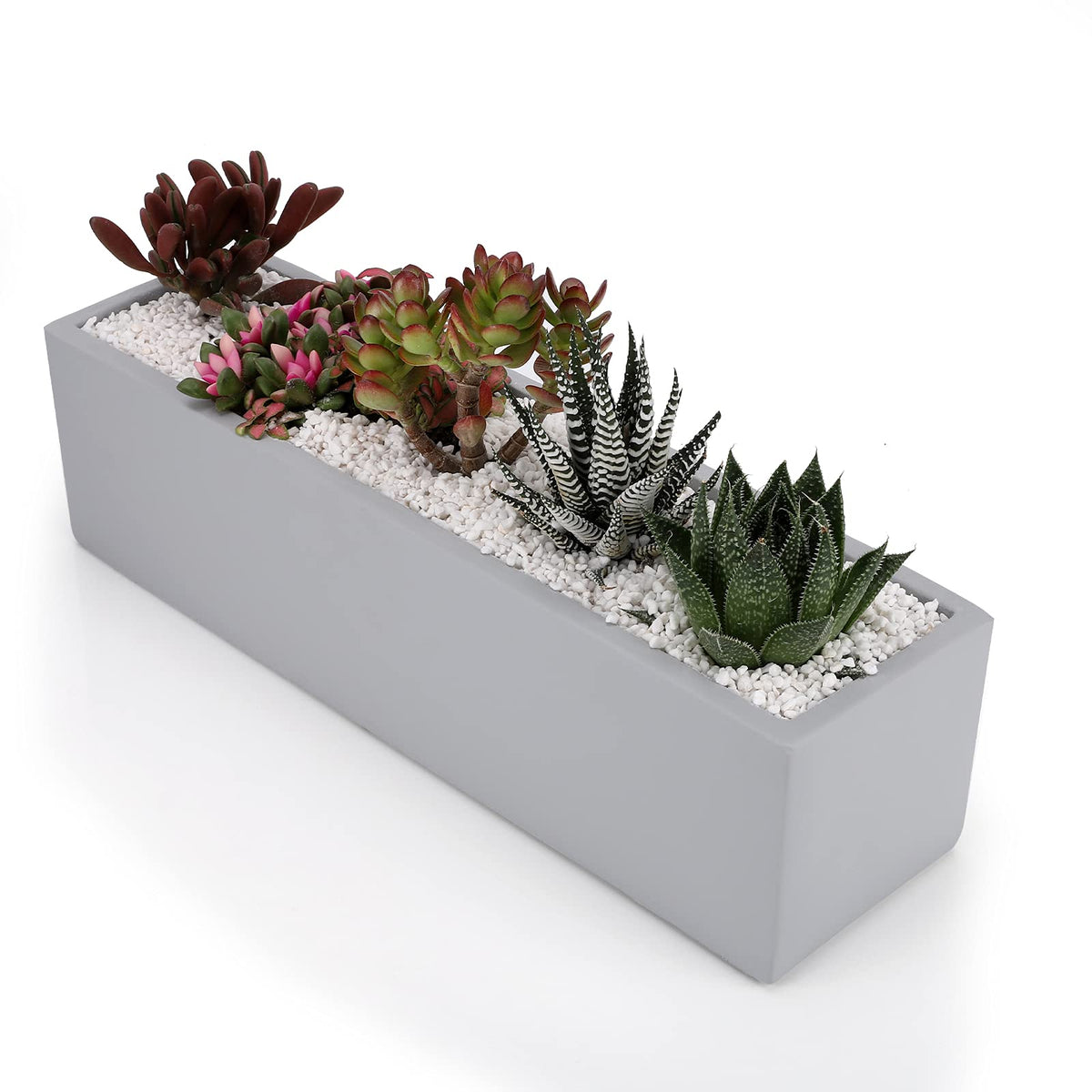 Ten-stone front view showing grey rectangular planter and clean modern lines, versatile display benefit