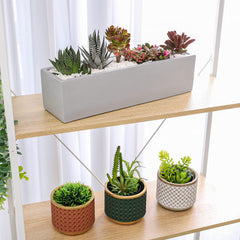 Ten-stone planter staged with succulents demonstrating compact multi-plant display benefit