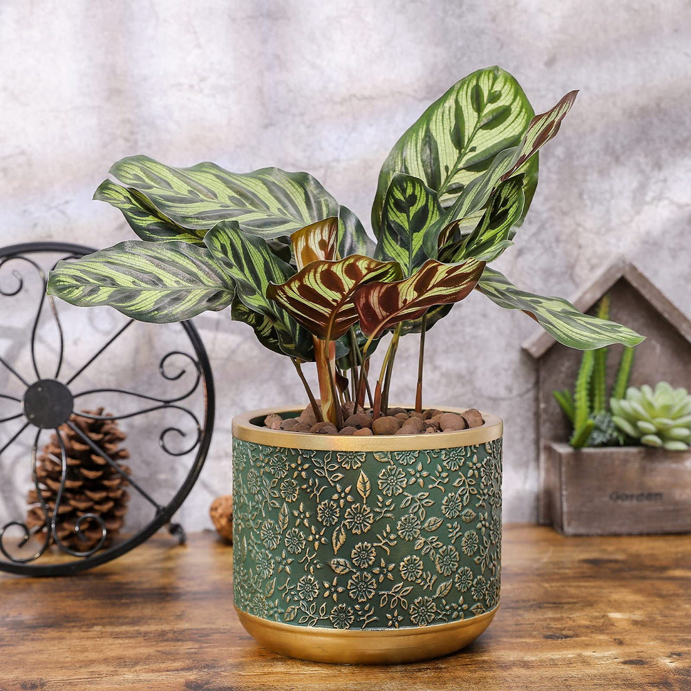 Ten-stone styled on shelf to enhance home decor with live plants