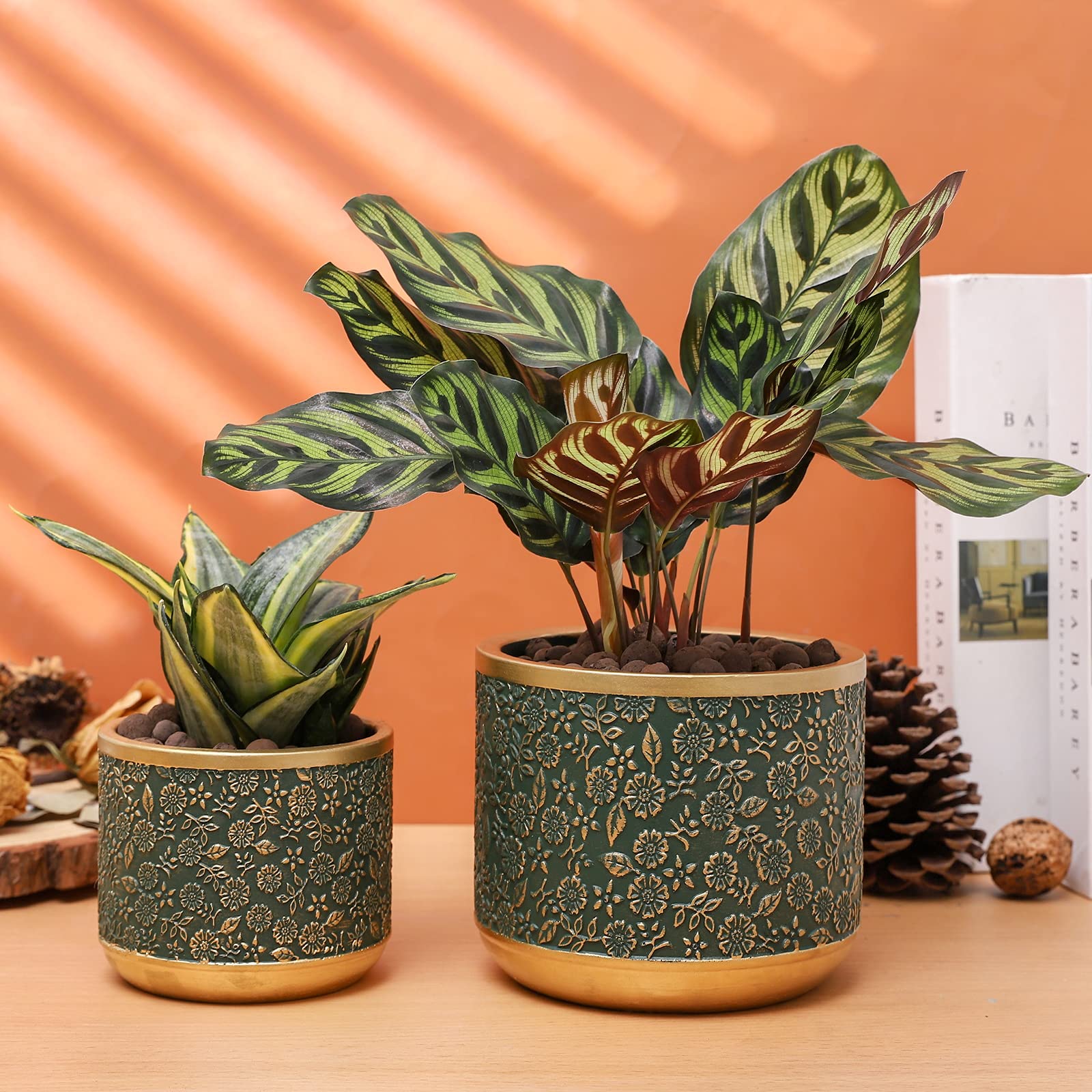 Ten-stone pot with succulent on windowsill showing sunlight-ready placement