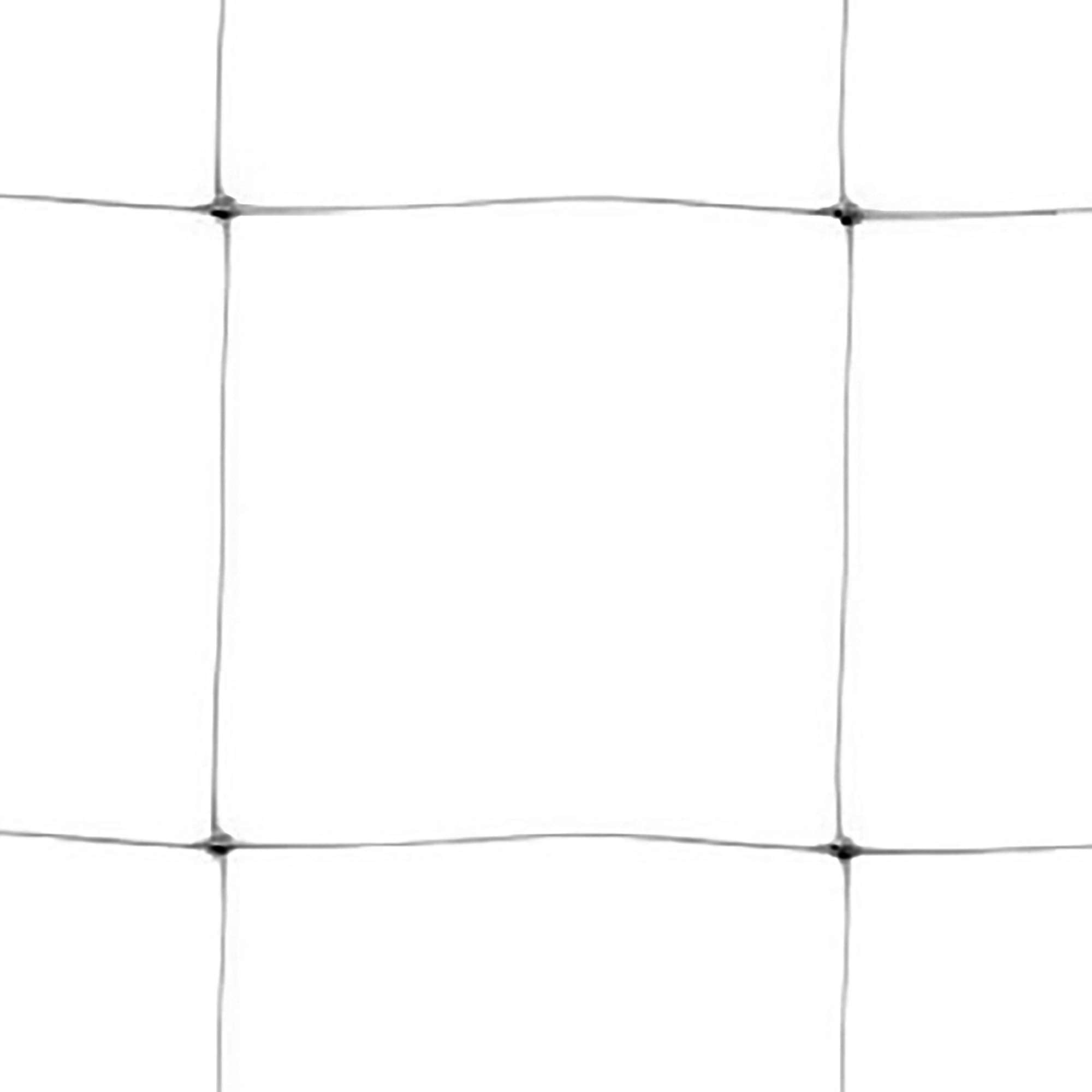 TENAX close-up of mesh texture improving plant support and airflow
