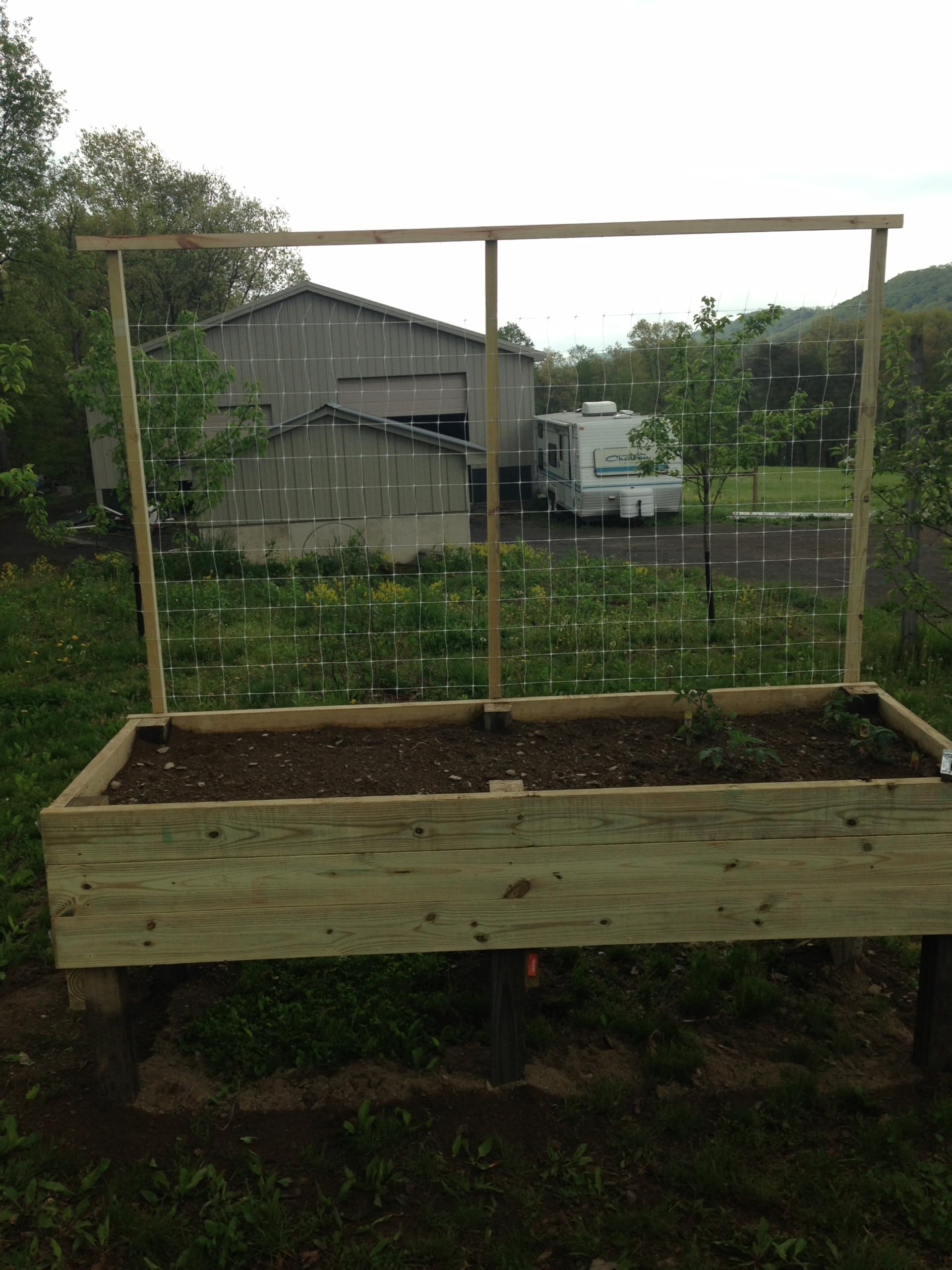 TENAX Hortonova installed in greenhouse improving plant support and harvest